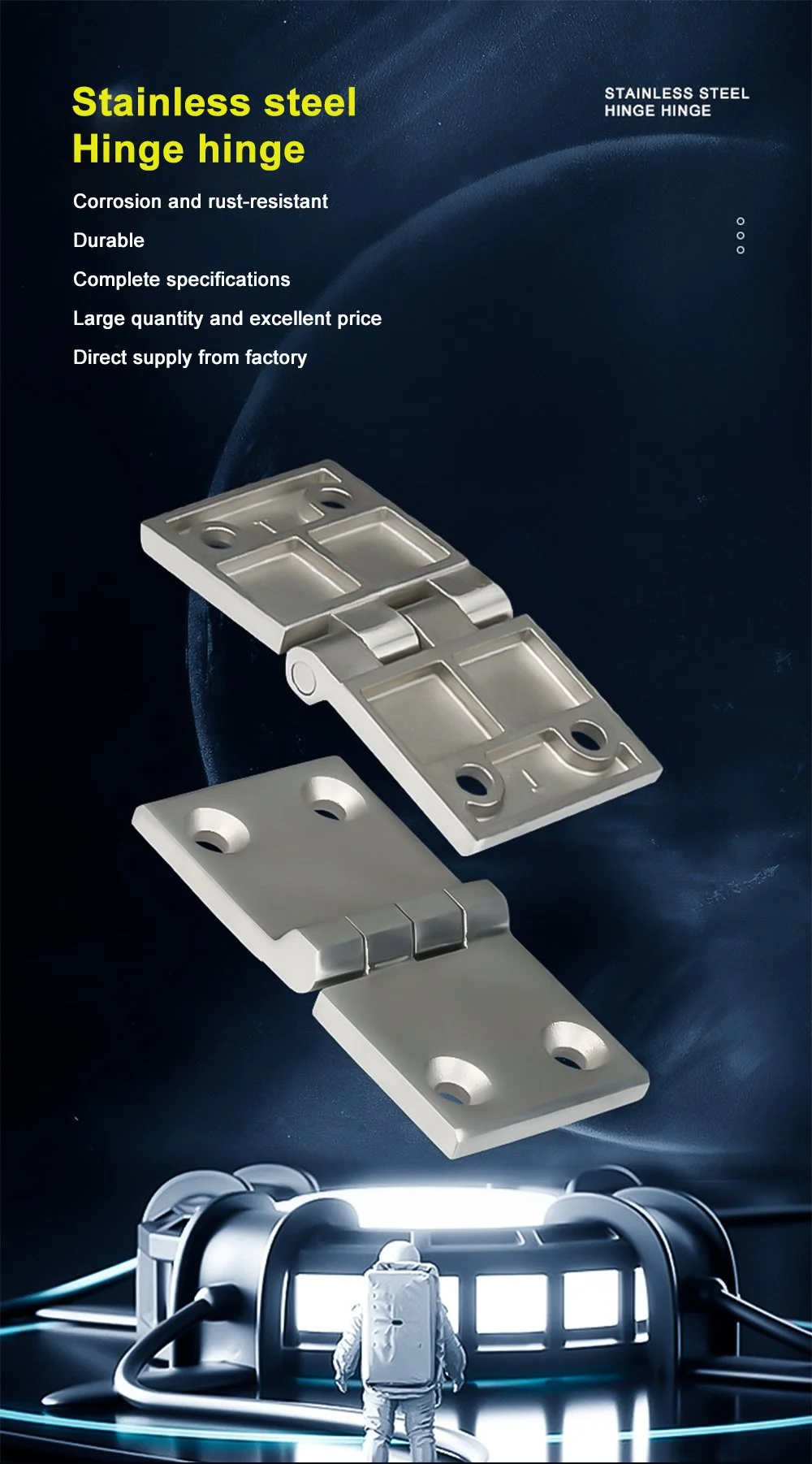 Heavy Duty Stainless Steel Door Hinge